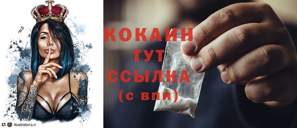 тгк Горняк
