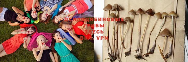 тгк Горняк