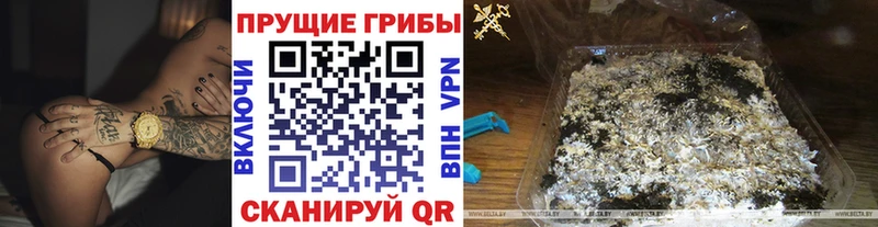 Галлюциногенные грибы мухоморы дарк нет формула Новоалександровск купить наркотики сайты мега ССЫЛКА